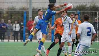Primavera, sconfitta del Benevento in casa del Frosinone - Ottopagine