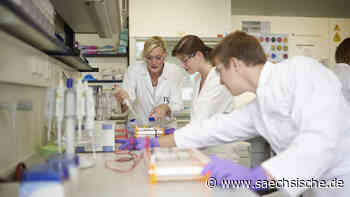 Tag der offenen Tür mit Praxispartnern an der BA Sachsen in Riesa und Leipzig - Sächsische.de