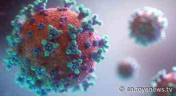 Jordan confirms 77 deaths and 25,502 coronavirus - Roya News English