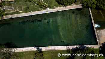Austin Cuts Hours at Iconic Barton Springs Pool Thanks to Lifeguard Shortage - BNN