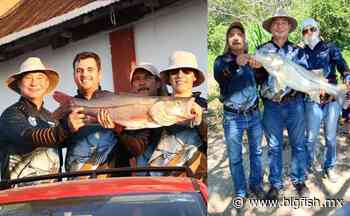 Rodrigo Kishi conquista Emiliano Zapata (Tabasco) 2022 - Big Fish