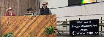 Shaggy Meadows Red Angus 5th Annual Bull Sale - Tri-State Livestock News