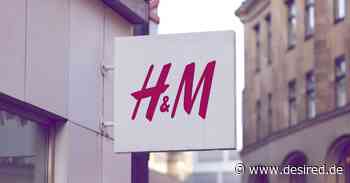 Jetzt bei H&M: Diese Trend-Blazer sind die Mode-Hingucker im Frühling - desired.de