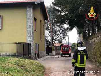 Brucia canna fumaria - Prima Saronno