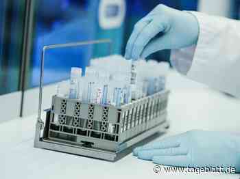 Inzidenz im Kreis Stade knackt die 1000er-Marke - Zwei weitere Todesfälle - Landkreis Stade - Tageblatt-online