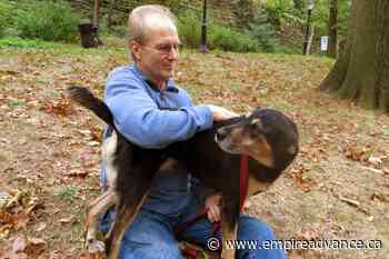 William Hurt, star of 'Broadcast News,' 'Body Heat,' dies - Virden Empire Advance