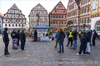Kundgebung in Leonberg - Junge Leute zeigen Flagge gegen rechts - Leonberger Kreiszeitung