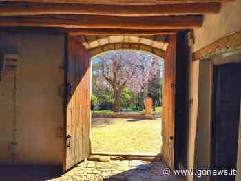 Lavoro marzo 2022: le offerte per Empoli, Fucecchio, Cerreto e non solo - gonews