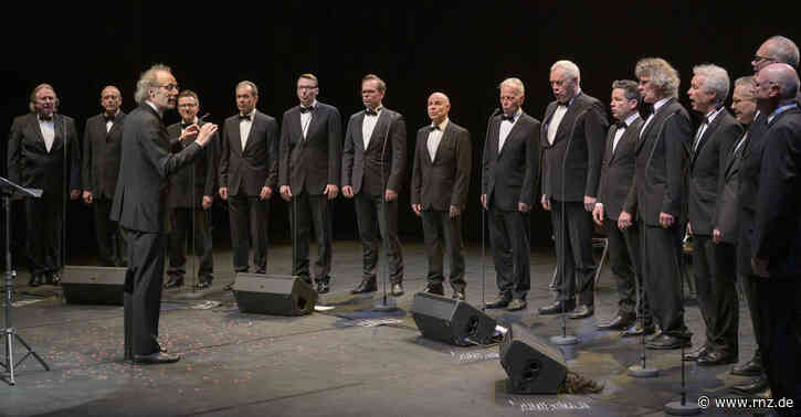 Heidelberger HardChor:  Sie streicheln die Hörnerven und kitzeln die Lachmuskeln