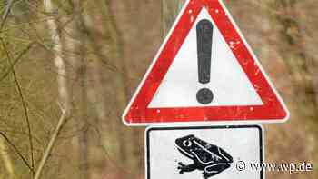 Schutz für Kröten und Salamander auf Tour in Herdecke - WP News