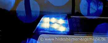 Mehrere Schlägereien in der Hildesheimer Innenstadt - www.hildesheimer-allgemeine.de