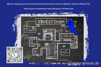 Digitaler Tag der offenen Tür am Gymnasium Ernestinum Celle online ab 10.3.2022 - Celler Presse