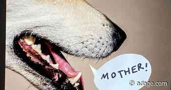 Mother grows its investment business and its creative chops