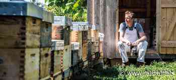 Verkostung von flüssigem Gold am Weingut Hirschmugl