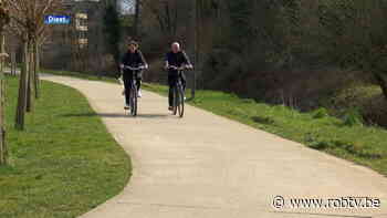 Diest zet extra in op fietsers met fietsambassadeurs: "Gaan fietsers, maar ook de automobilisten mee wijzen op hun verantwoordelijkheden" - ROB-tv