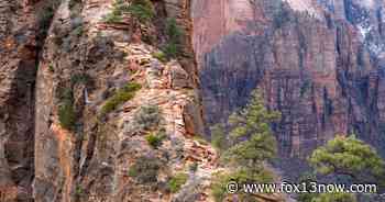 Angels Landing trail at Zion National Park closes for chain pole re-installation - FOX 13 News Utah