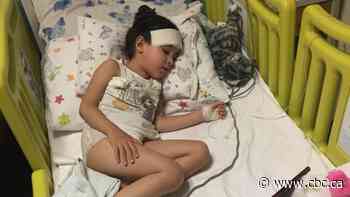 Sask. mother launches new legal fight to bring daughter, granddaughter to Canada as refugees