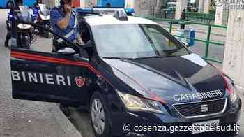 Cosenza, spaccio di droga nel Rendese: all'alba arrestate dieci persone - Gazzetta del Sud - Edizione Cosenza