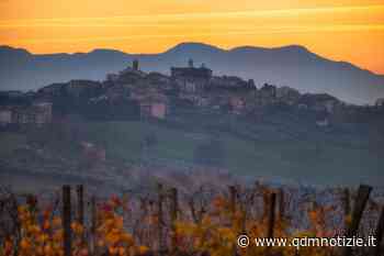 MORRO D'ALBA / La giornata nazionale con protagonista il paesaggio - QDM Notizie