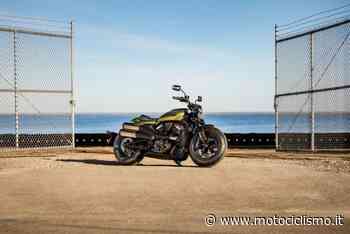 La linea di accessori "Wild One" per Harley-Davidson Sportster S - Motociclismo.it