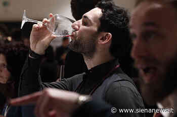 Gli eventi del vino in ripartenza - Siena News