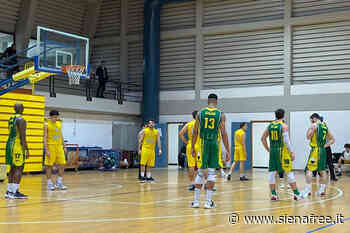 Basket C Silver, vince ancora il Costone Siena: superata nettamente la Liburnia Livorno - SienaFree.it