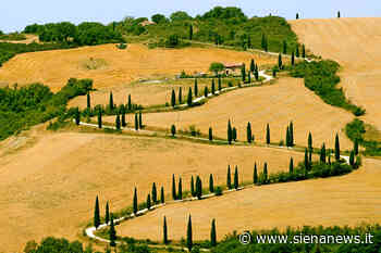 Scopriamo il benessere rurale in Toscana - Siena News