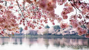 First day of spring is Sunday: When Easter, Passover, Mother's Day fall in 2022