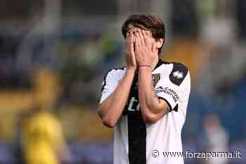 Spirito di gruppo e senso d'appartenenza: concetti astratti - Forza Parma