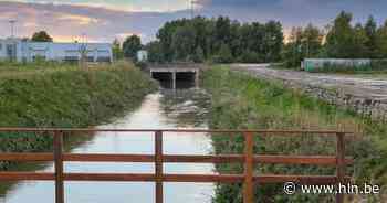 Brusselse Waterdagen zetten het blauwe erfgoed in de kijker - Het Laatste Nieuws