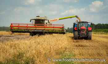 Ukraine crisis: effect on food chain will be 'profound'