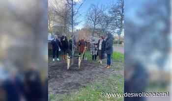 Boom voor Zwolle van jarig Soroptimistclub Zwolle - De Swollenaer