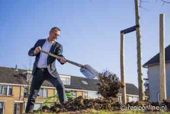 500e extra boom voor Ambacht geplant - Regio Online Nederland