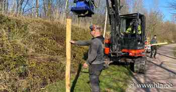 Alles in gereedheid voor komst van schapen in Lamotlei - Het Laatste Nieuws