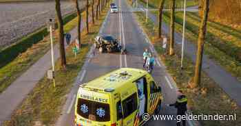 Automobilist botst tegen boom, weg bezaaid met brokstukken - De Gelderlander