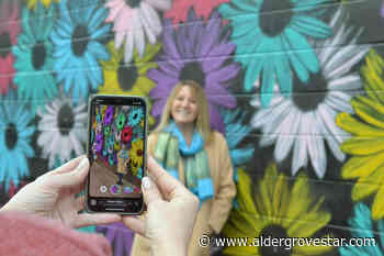 More Downtown Langley murals about to start moving – Aldergrove Star - Aldergrove Star