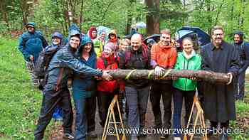 Wegen Doppelmitgliedschaft: Tourismus-Experte:  Bad Herrenalb muss selbst eruieren und abwägen