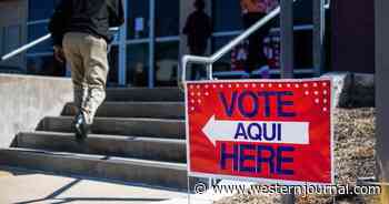New Texas Election Integrity Laws Flag 27,000 Mail-in Ballots for Rejection in Primary - Report
