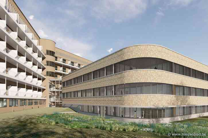 ZNA en GZA bouwen gemeenschappelijke intensieve zorgen voor pasgeborenen: “contact met de mama is van levensbelang”