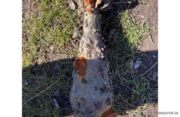 POL-SN: Korrekturmeldung zur Pressemeldung: Kinder finden Kriegsmunition im Ostorfer See (Änderung des Ereignisdatums)
