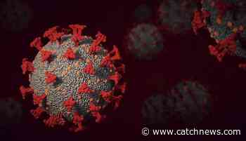 Coronavirus Pandemic: China perceived 'Zero Covid strategy' from beginning of COVID-19, claim Experts - Catch News