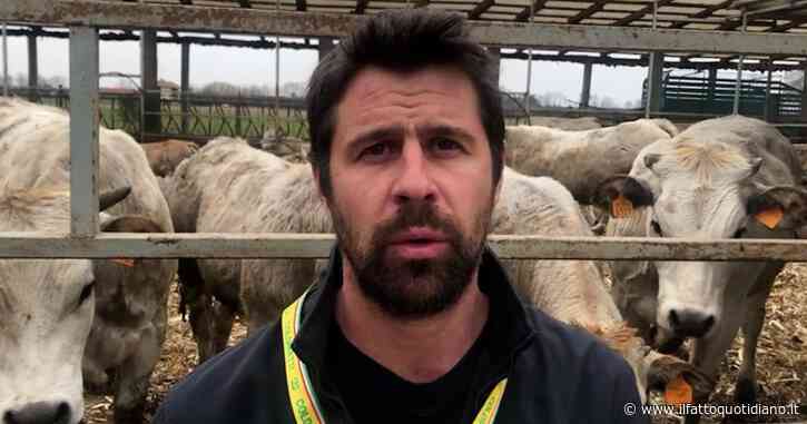 L’allarme dell’allevatore: “Prezzi dei mangimi schizzati alle stelle, con aumenti del 100%. Così posso reggere un mese e mezzo”