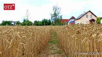 In Rothenstein sollen etwa 20 neue Bauplätze entstehen