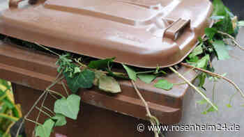 Grüngutsammlung im Frühjahr: Das sind die Standorte der Großcontainer