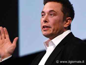 "Duello di arti marziali", "Sei debole...". Elon Musk sfida Putin