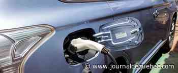 Longue attente à prévoir pour obtenir une voiture électrique