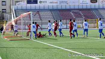 Borgrosso Molfetta, Sciancalepore stende la Vigor Trani - BariToday