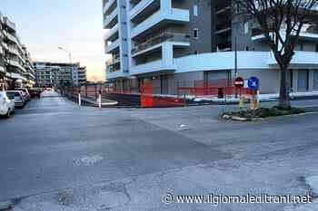 Trani, la rotatoria di via Bari costerà 11.000 euro e l'abbattimento di almeno due alberi - ilgiornaleditrani - Radio Bombo