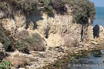 Lieve cedimento dalla scogliera a baia dei Gruccioni, Colangelo e Di Lernia: «In corso accertamenti» - TraniViva