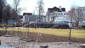 Gartenschau in Balingen - Wand soll Kreativität anregen - Schwarzwälder Bote